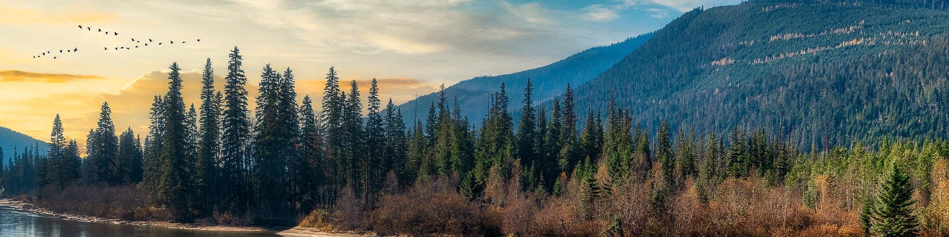 britishcolumbiahotels.net